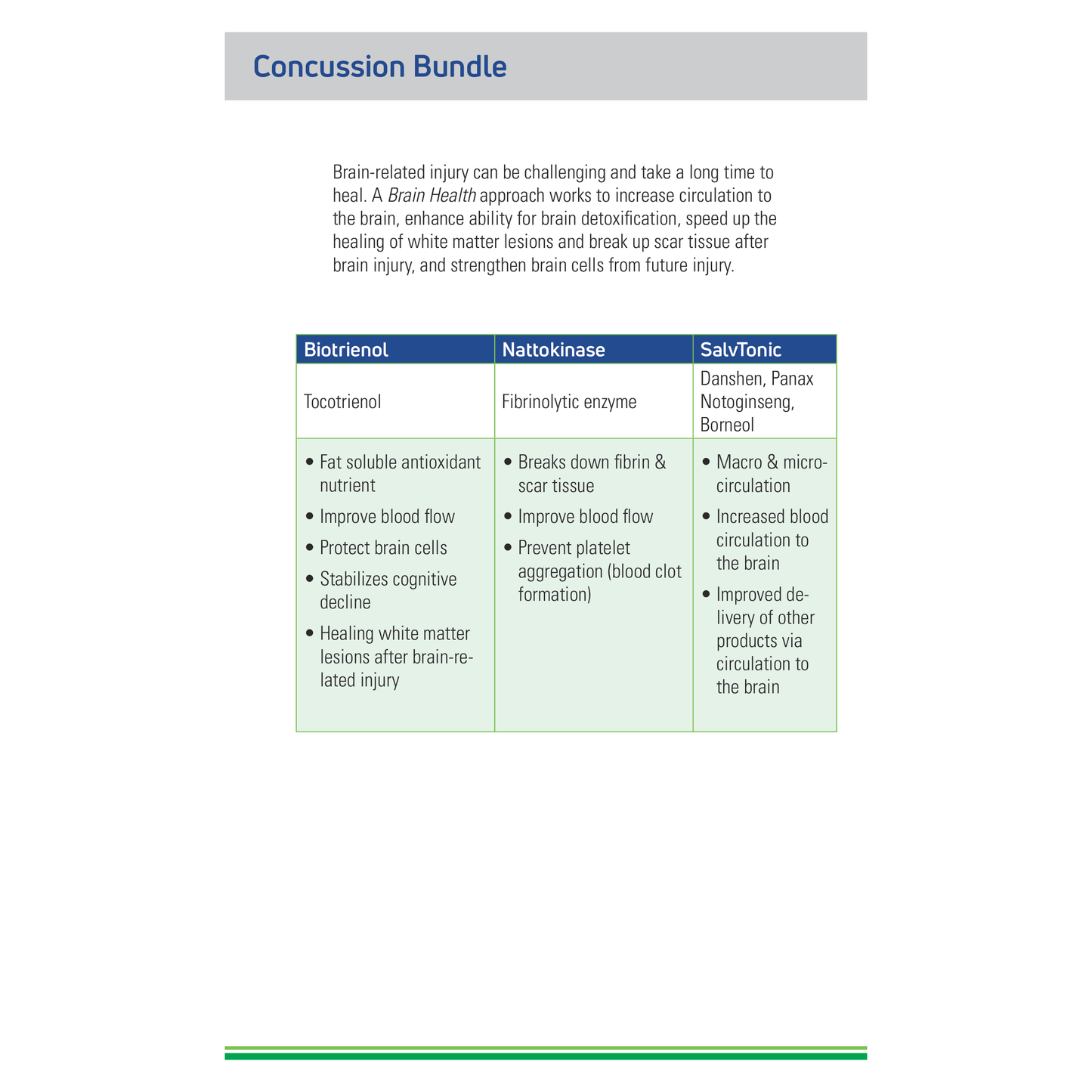 Concussion Support Bundle