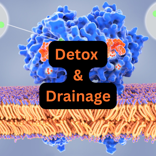 Detox & Drainage